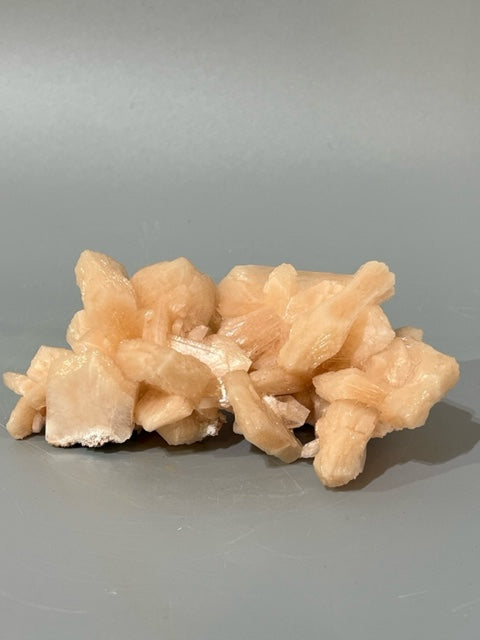 Pink Scolecite