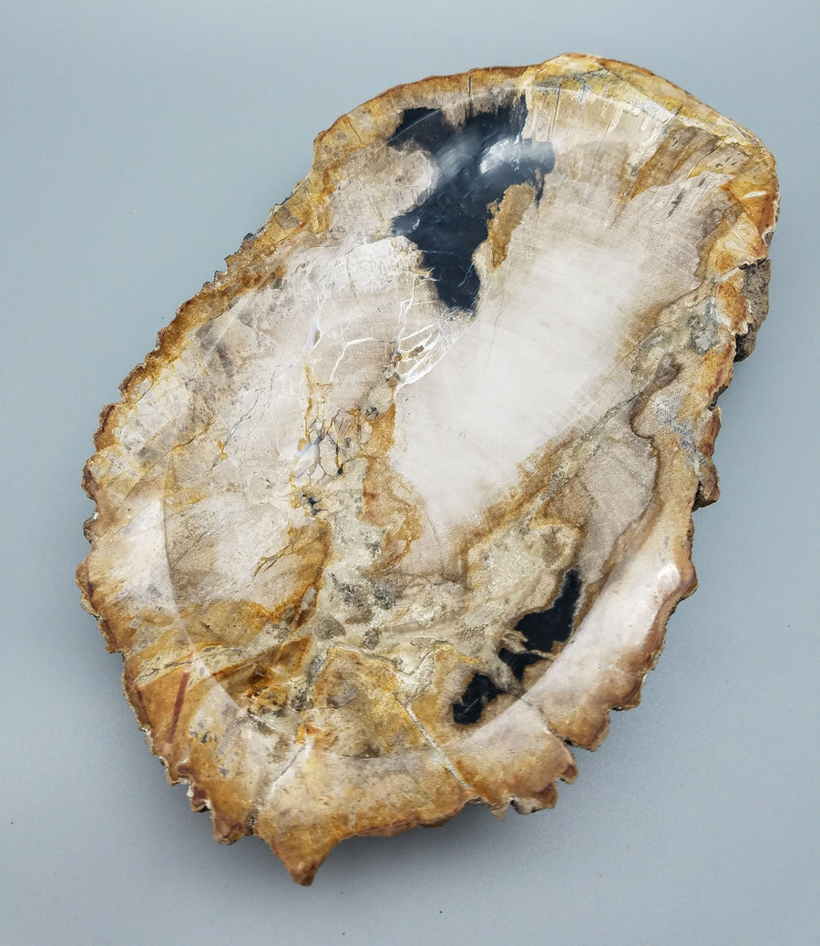 PETRIFIED WOOD BOWL