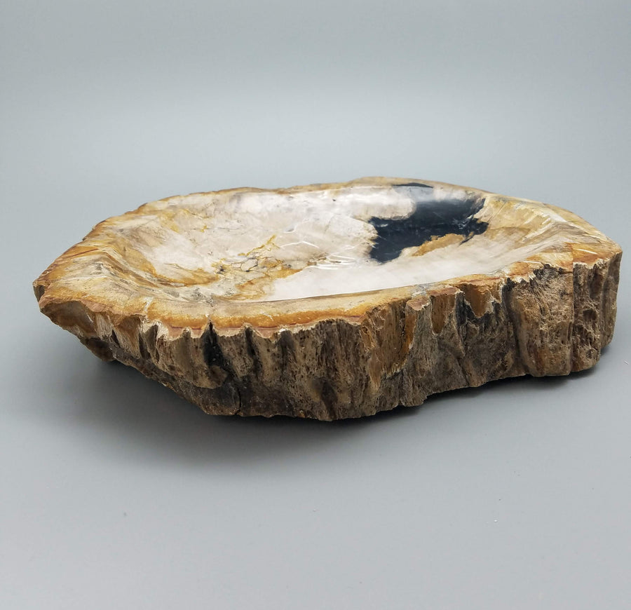 PETRIFIED WOOD BOWL